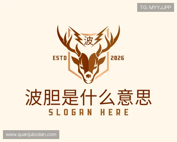 认识足球波胆是什么意思